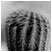 cactus by missie thurston thumbnail