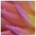 blooming by missie thurston thumbnail