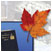 The Vermont Book Of Days Book One thumbnail